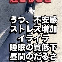 画像1594